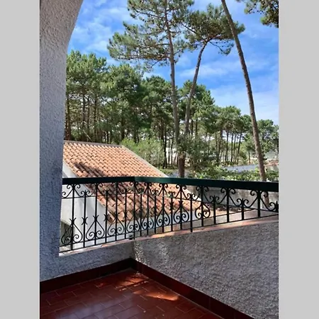 Oak Valley Flats Casa Do Pinhal Vila Colares