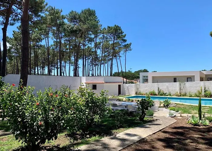 Oak Valley Flats Casa Do Pinhal ヴィラ コラレス